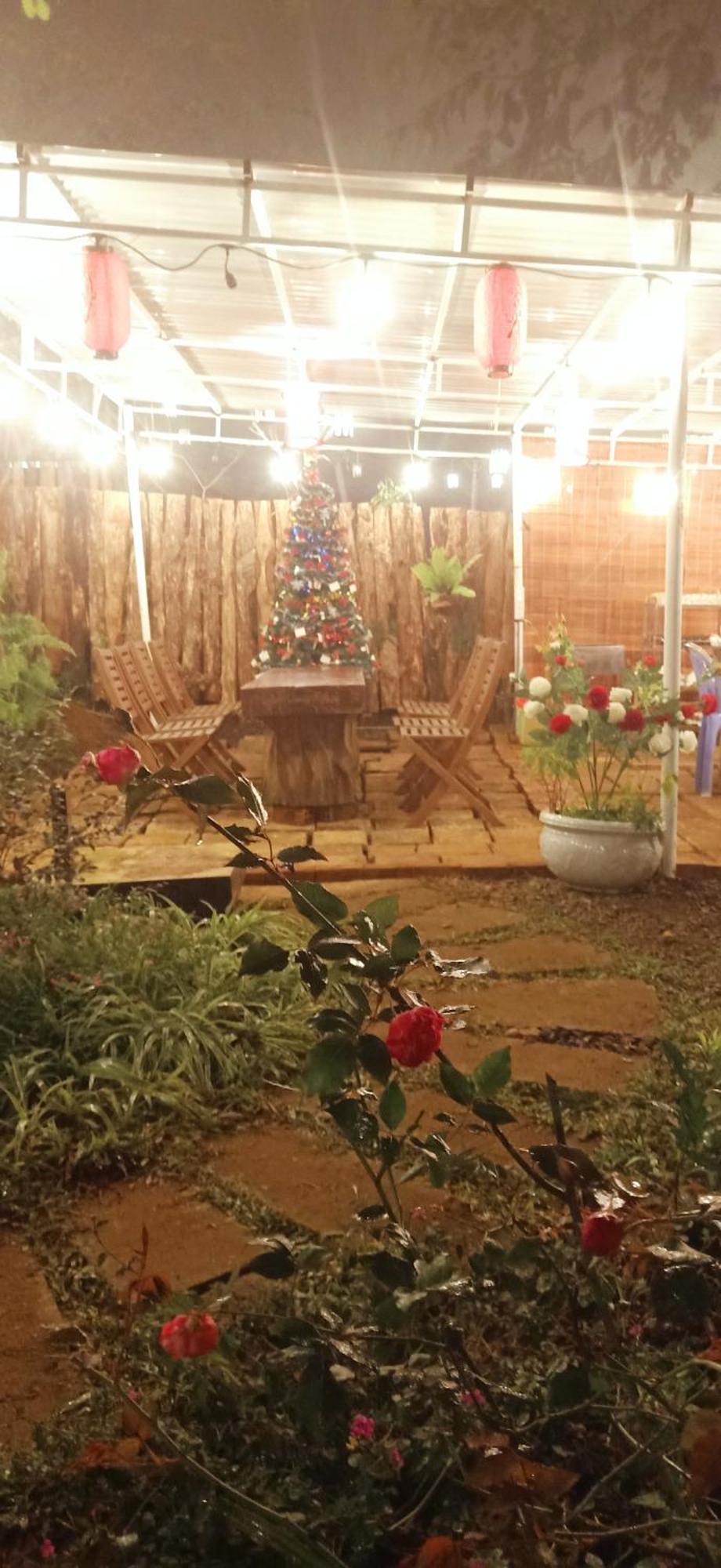 Paradiso Homestay Măng Đen Kon Von Kla Ngoại thất bức ảnh