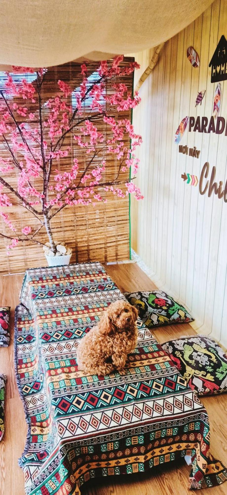 Paradiso Homestay Măng Đen Kon Von Kla Ngoại thất bức ảnh
